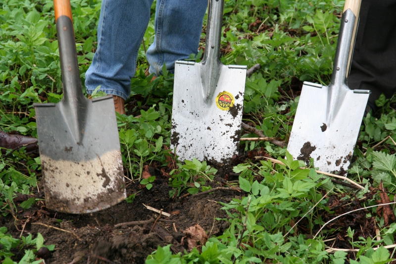 pepiniere-DRAP-min_work-lawn-flower-tool-green-backyard-1103633-pxhere.com